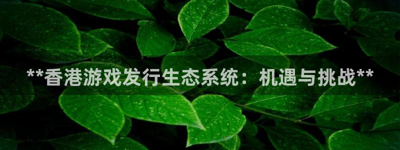 新城平台登录入口官网查询