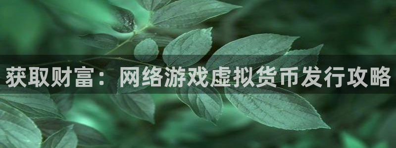 新城平台登录入口官网首页：获取财富：网络游戏虚拟货币发行攻略