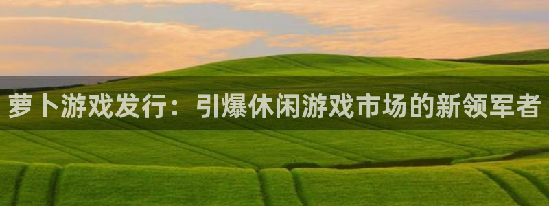 新城平台登录入口官网查询：萝卜游戏发行：引爆休闲游戏市场的新领军者